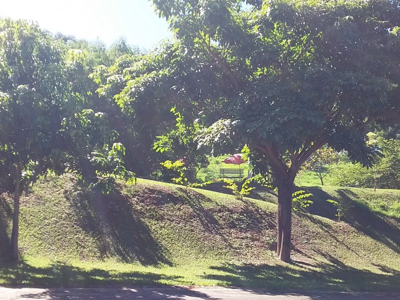 Sítio à venda Centro com 20000m² e 4 quartos por R$ 780.000 - 653514404-47.jpg