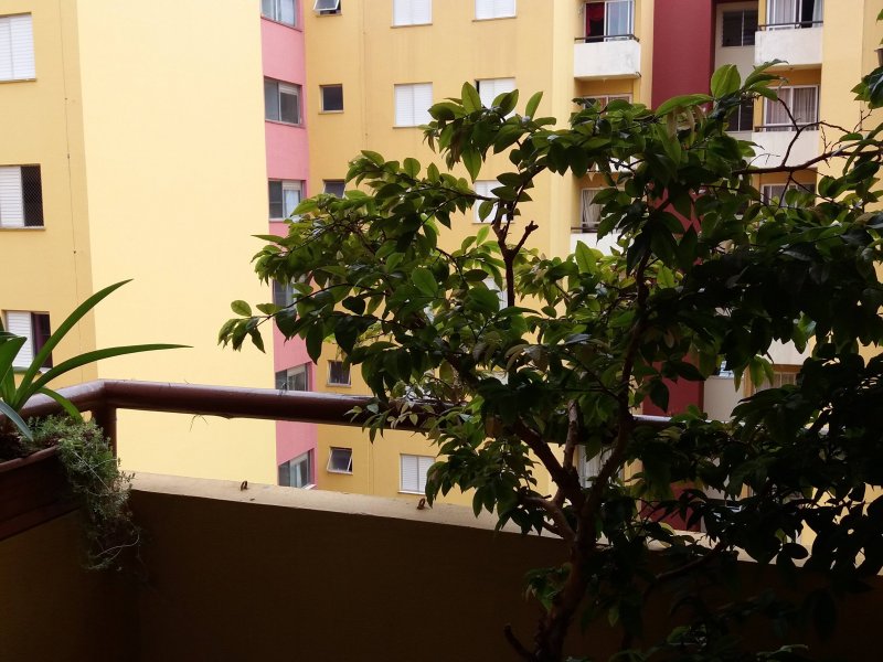 Apartamento à venda Parque São Vicente com 60m² e 2 quartos por R$ 266.000 - 1941136392-20180112-153638.jpg