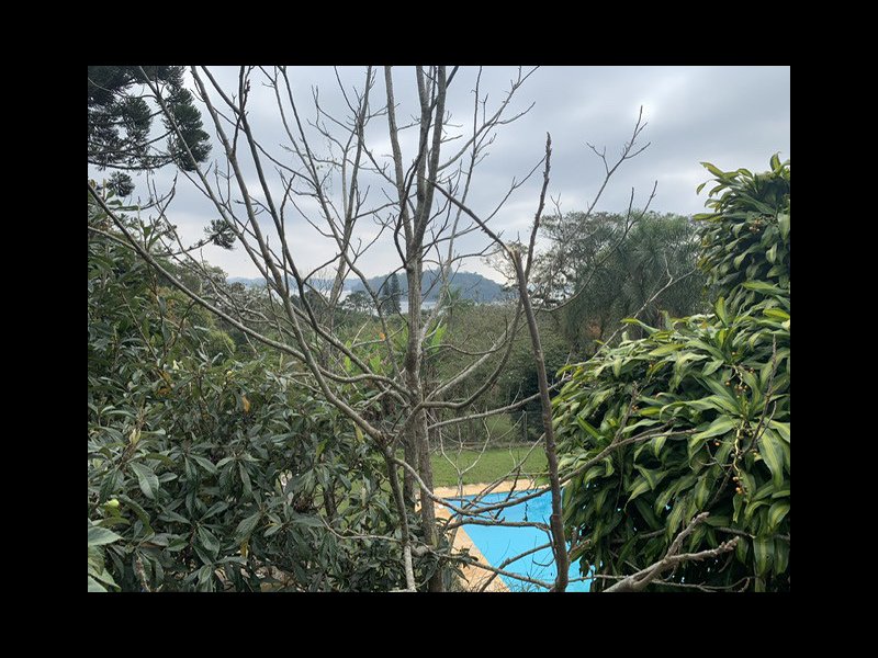 Casa de condomínio à venda Praias Paulistanas com 5800m² e 3 quartos por R$ 1.650.000 - 783064330-c1d6192b-bd99-4f94-90cf-24490e2f7b19.jpeg