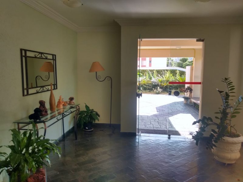 Apartamento à venda Lauzane Paulista com 63m² e 3 quartos por R$ 350.000 - 900423668-rncm4660.JPG