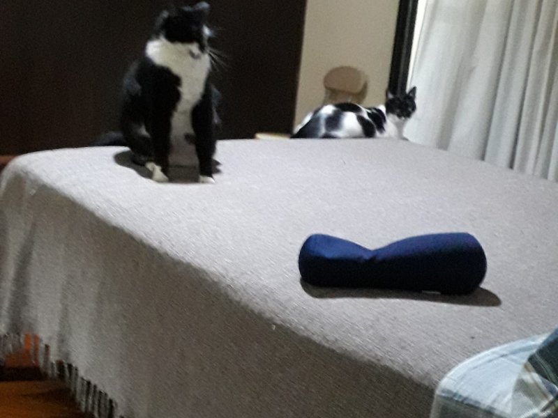 Apartamento à venda Campestre com 100m² e 3 quartos por R$ 500.000 - 875306215-20201204-1937090.jpg