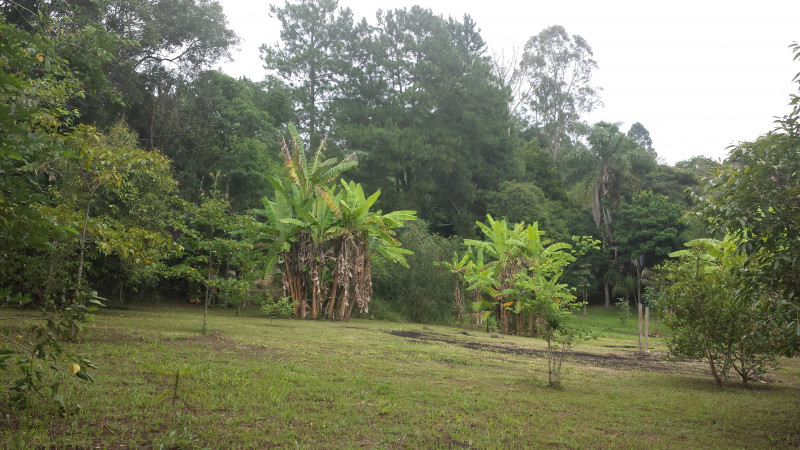 Chácara à venda são joão novo com 520m² e 4 quartos por R$ 700.000 - 825594385-area-plana-para-campo.jpg