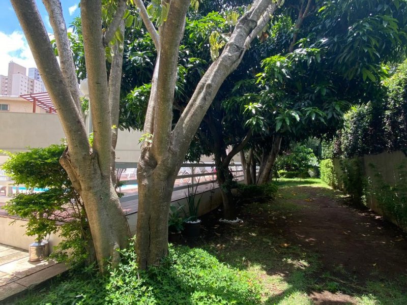 Apartamento à venda Vila Paulista com 90m² e 2 quartos por R$ 600.000 - 1894821646-ribeiroles23.jpeg
