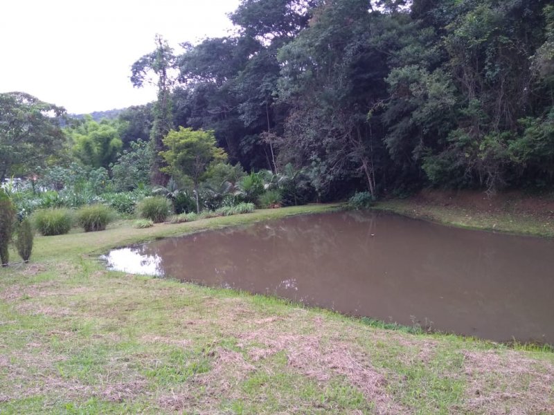 imóvel com 34m² - Figueiro - Ouro Preto