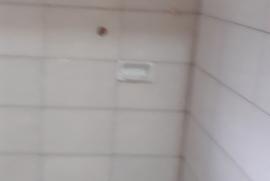 431539873-20210208-072915.jpg