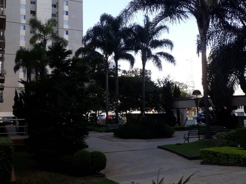 Apartamento à venda Cambuci com 50m² e 2 quartos por R$ 300.000 - 259153488-10.jpg