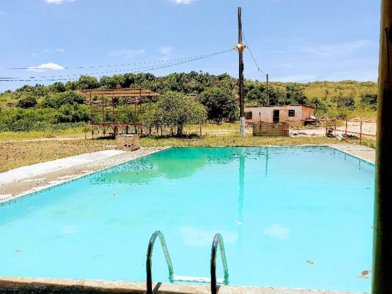 Chácara à venda Vila Santa Catarina com 10000m² e 4 quartos por R$ 800.000 - 1409545747-20210211-125148.jpg