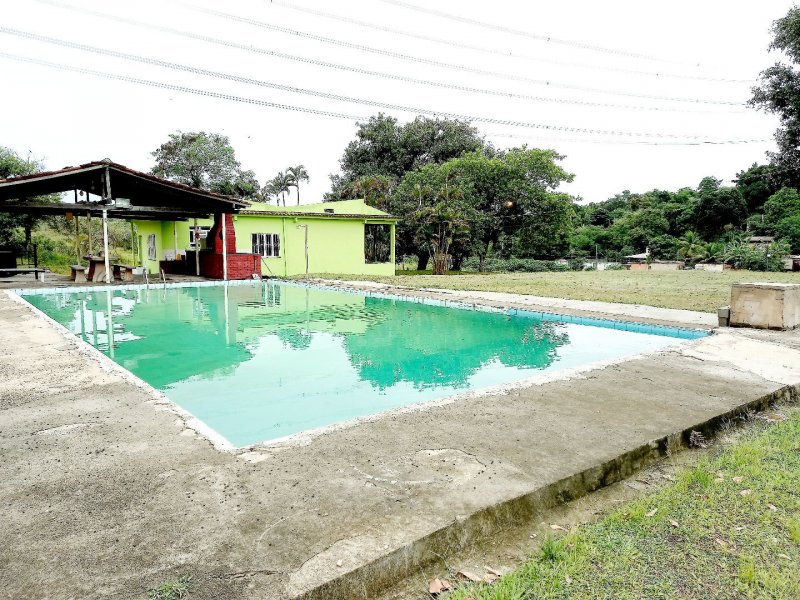 Chácara à venda Vila Santa Catarina com 10000m² e 4 quartos por R$ 800.000 - 432327358-da5470ad-8965-45f3-b827-1ff5c4a10641.jpg
