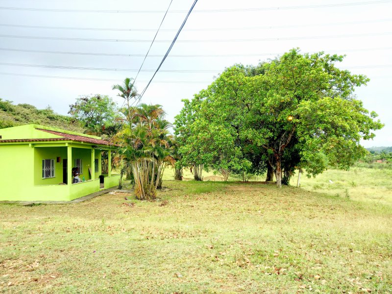 Chácara à venda Vila Santa Catarina com 10000m² e 4 quartos por R$ 800.000 - 511554639-20210211-121105.jpg