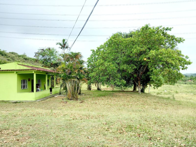 Chácara à venda Vila Santa Catarina com 10000m² e 4 quartos por R$ 800.000 - 893910755-66945e8b-4ccb-4e81-9434-a0f6140400e2.jpg