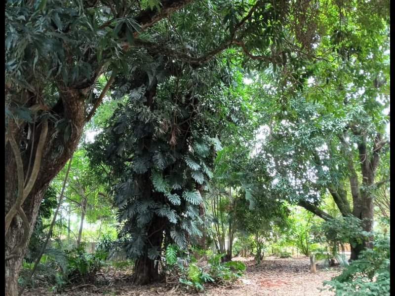 Apartamento à venda CENTRAL com 5m² e 1 quarto por R$ 1.220.000 - 1792495339-venda-casa-silvania-6.jpeg