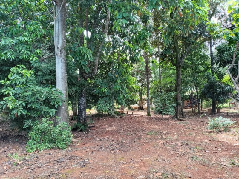 Apartamento à venda CENTRAL com 5m² e 1 quarto por R$ 1.220.000 - 1840752995-venda-casa-silvania-5.jpeg