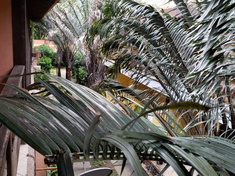 Casa à venda Jardim Sulacap com 95m² e 2 quartos por R$ 290.000 - 2074726500-ad39d80b-af3b-4293-8b3b-065d47cf859d.jpeg