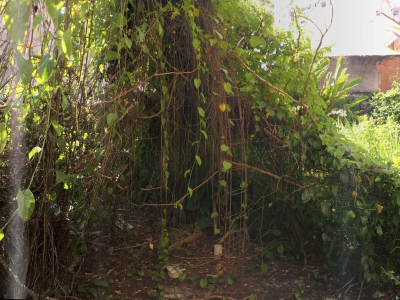 Terreno à venda Jardim Icarai com 169m² e  quartos por R$ 250.000 - 1536643971-dd8834a8-2b86-4bd0-aed1-674ec38c9535.jpeg