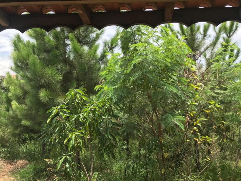 Chácara à venda Estancia Marilia com 800m² e 2 quartos por R$ 300.000 - 1637028619-img-20210212-wa0032.jpg