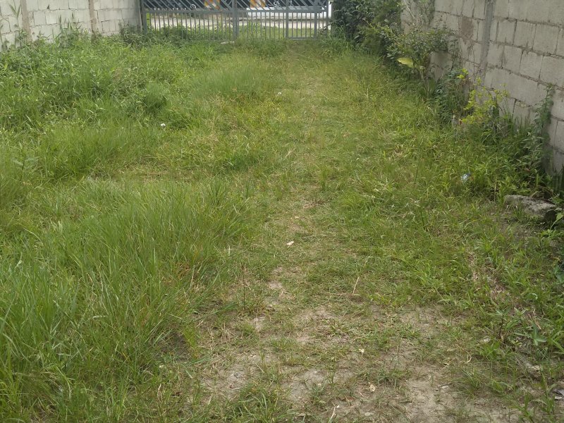 Casa à venda Nova Itanhaém - Interior com 10m² e 1 quarto por R$ 75.000 - 1263986421-img-20201128-141816393.jpg