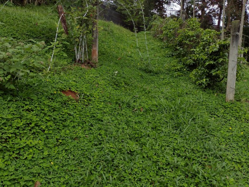 imóvel com 200m² - Santa Barbara - Sao Jose dos Campos