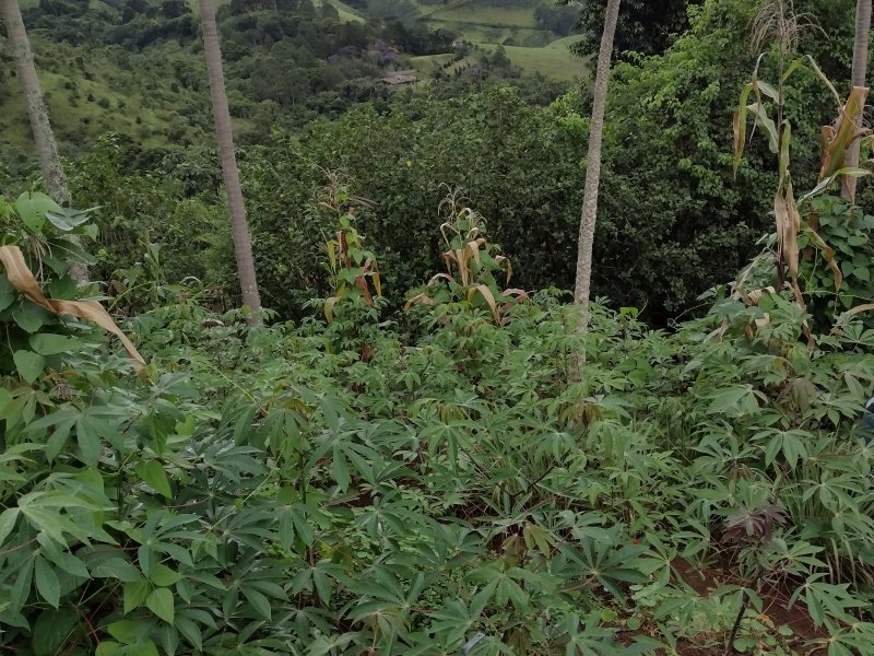 imóvel com 200m² - Santa Barbara - Sao Jose dos Campos