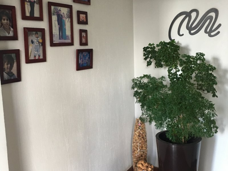 Apartamento à venda Vila Suzana com 140m² e 3 quartos por R$ 770.000 - 1689381066-6b825de2-0f15-4197-a4b0-f7cac90321dc.jpeg