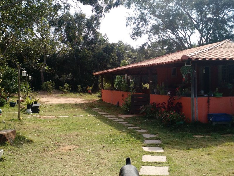 Chácara para alugar Tupã com 5000m² e 2 quartos por R$ 470.000 - 1779758685-c930d249-35fb-4959-9b77-4128c02e32df.jpg