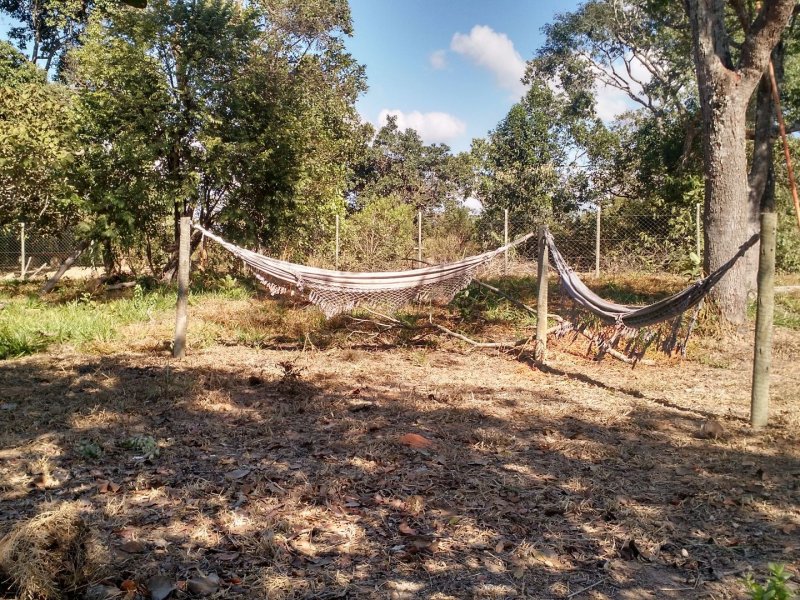 Chácara para alugar Tupã com 5000m² e 2 quartos por R$ 470.000 - 2057825323-072cf9c9-8d40-44a2-8d2b-cdf4573f46b5.jpg