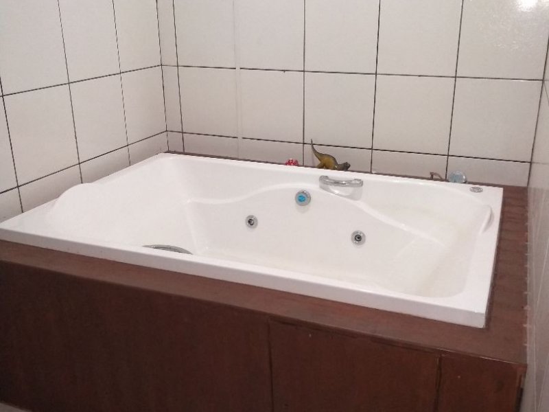 Chácara para alugar Tupã com 5000m² e 2 quartos por R$ 470.000 - 69236291-7cf06c08-3a2f-4f64-ba65-9179cc00f7ed.jpg