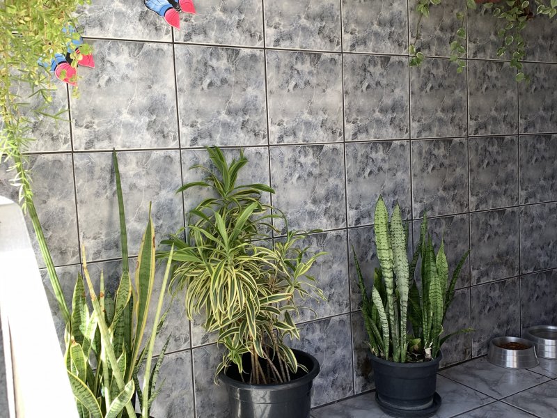 Apartamento à venda Sampaio com 95m² e 3 quartos por R$ 360.000 - 1828506488-225089a8-888d-44b5-b281-51a622c658ce.jpeg