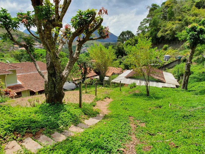 Casa à venda Itaipava com 390m² e 3 quartos por R$ 1.500.000 - 1318731732-31-vista-das-casas-do-alto-do-terreno.jpg