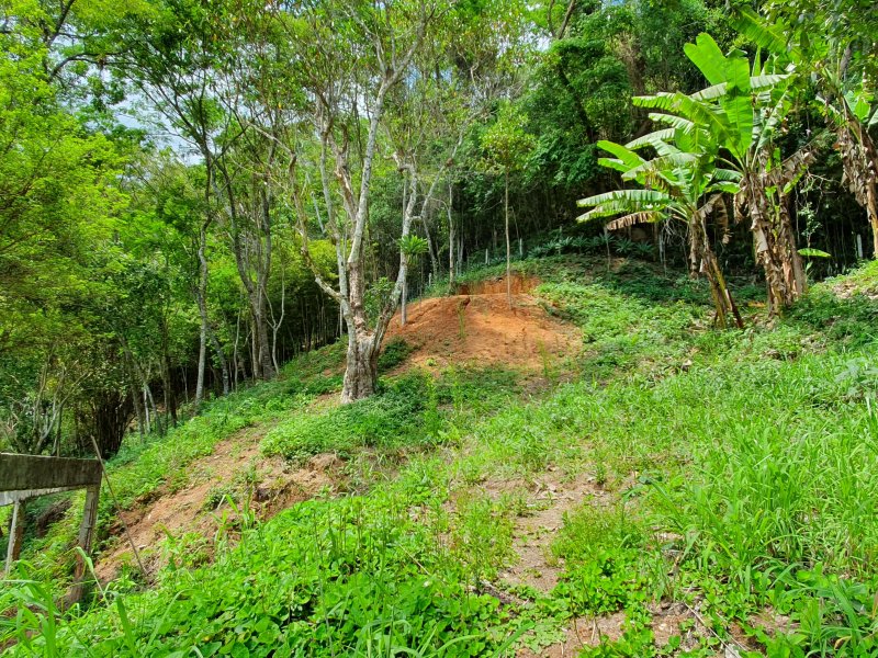 Casa à venda Itaipava com 390m² e 3 quartos por R$ 1.500.000 - 1615872176-33-fundo-do-terreno.jpg