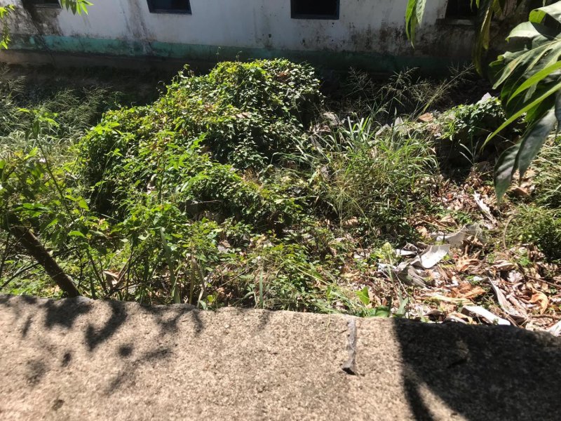 Terreno à venda Praia do Pinto  com 700m² e  quartos por R$ 10.000 - 1379961297-66c31a7b-0c74-4a0d-97c1-9396946b5b2e.jpeg