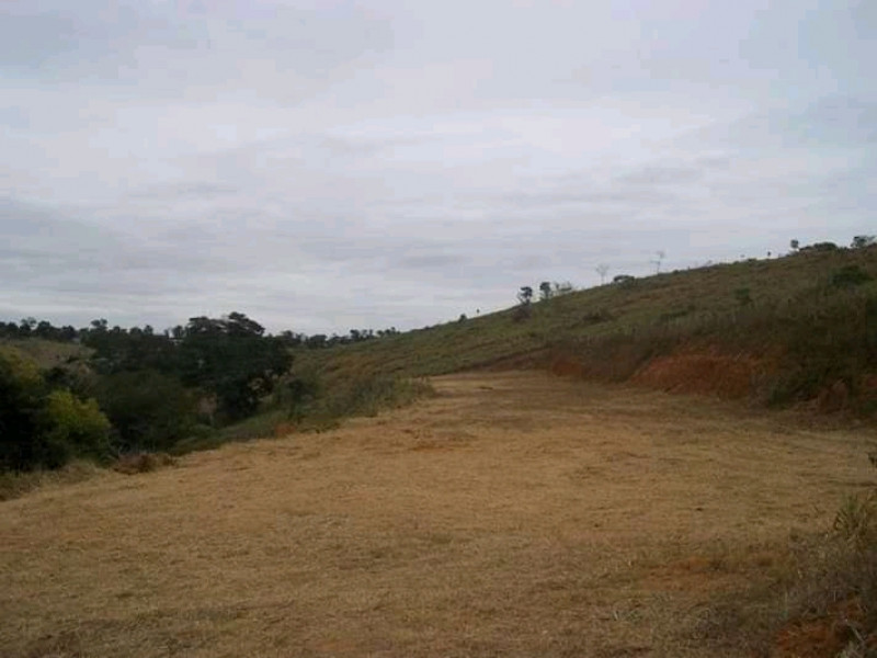 Chácara à venda Carangola com 400m² e 3 quartos por R$ 130.000 - 1050161942-fb-img-16123893810930683.jpg