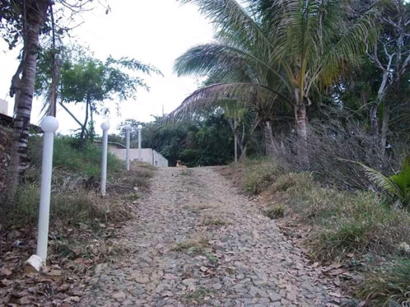Chácara à venda Carangola com 400m² e 3 quartos por R$ 130.000 - 1265481373-fb-img-16123893388967179.jpg