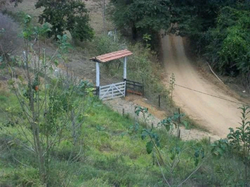 Chácara à venda Carangola com 400m² e 3 quartos por R$ 130.000 - 1846468241-fb-img-16123893745036435.jpg