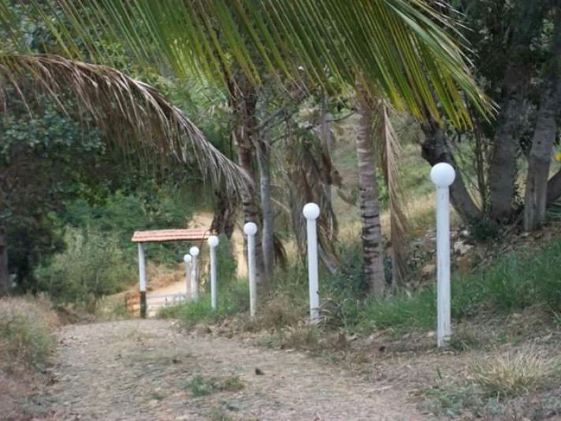Chácara à venda Carangola com 400m² e 3 quartos por R$ 130.000 - 622837453-fb-img-16123893529436960.jpg