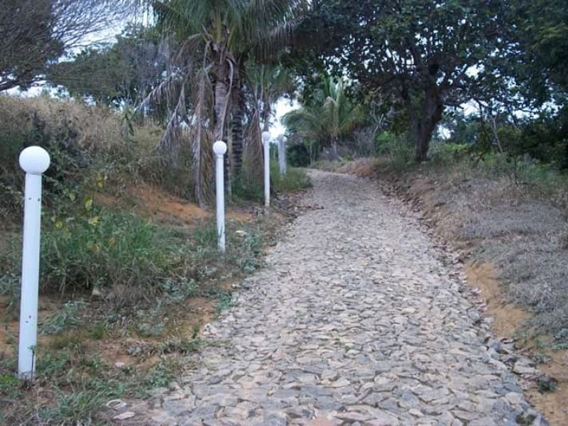 Chácara à venda Carangola com 400m² e 3 quartos por R$ 130.000 - 711269066-fb-img-16123893435656358.jpg