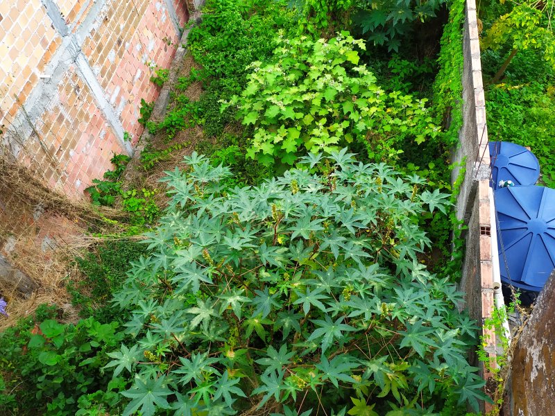 Comercial à venda Praia Grande com 185m² e  quartos por R$ 200.000 - 907522267-img-20210213-104503.jpg