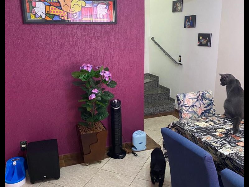 Casa de condomínio à venda Vila Alpina com 92m² e 3 quartos por R$ 570.000 - 1592099894-00ddea8e-dc06-4080-96fd-a638606908ca.jpeg