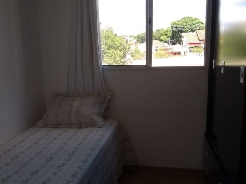 Apartamento à venda São João Batista com 45m² e 2 quartos por R$ 190.000 - 992521142-a656c922-262e-4620-8886-5e5c517556ce.jpg