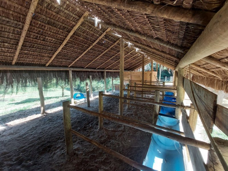 Sítio à venda Papucaia com 256000m² e 5 quartos por R$ 1.050.000 - 2098807875-75f08745-3dfd-43f6-93cb-1f9b4832cc76.jpg