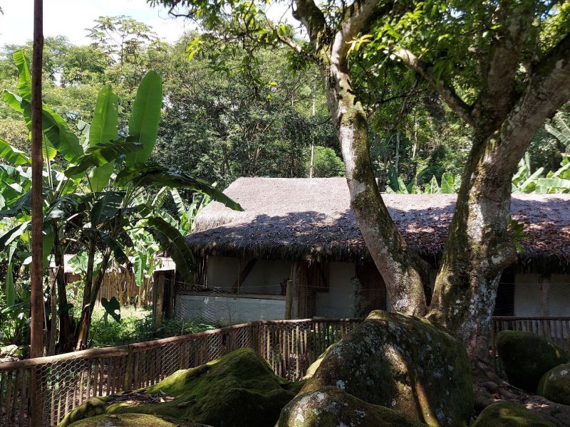 Sítio à venda Papucaia com 256000m² e 5 quartos por R$ 1.050.000 - 521015274-a8a14c36-228c-4665-bd3e-e0f191f8617f.jpg