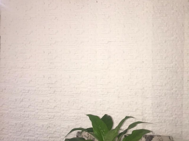 Apartamento à venda Parque Maria Domitila com 62m² e 3 quartos por R$ 395.000 - 67769712-f5dee9e6-d565-450b-aeb1-289e3152f3e4.jpeg