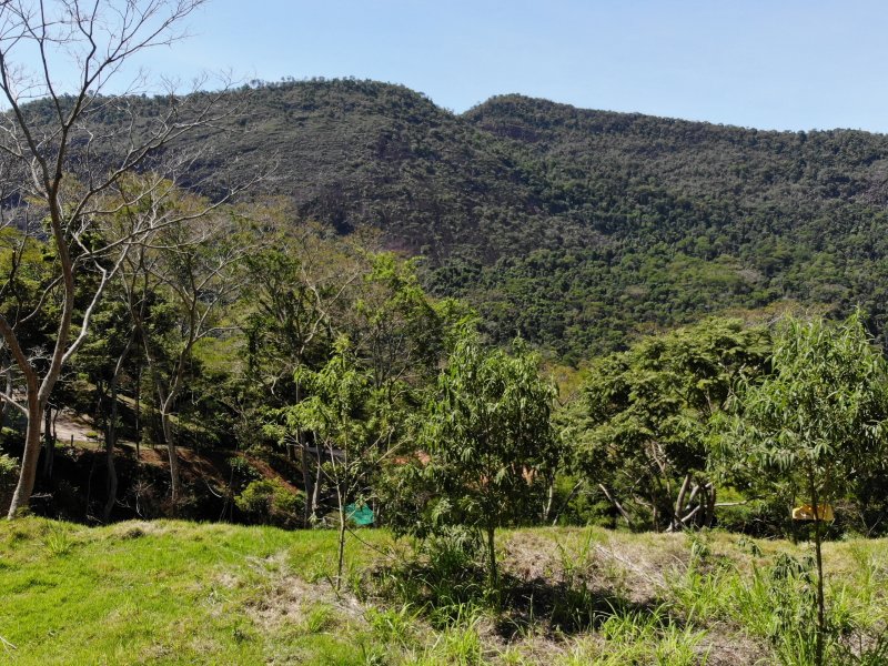 Terreno à venda Itaipava com 8m² e  quartos por R$ 550.000 - 1316760779-7043b6d3-5aec-4c93-abab-381f084c11e6.jpeg