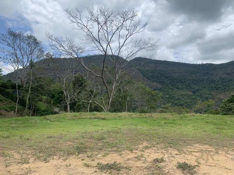 Terreno à venda Itaipava com 8m² e  quartos por R$ 550.000 - 5487519-12d5326a-728f-4b9a-95a8-53199b57e6e2.jpeg