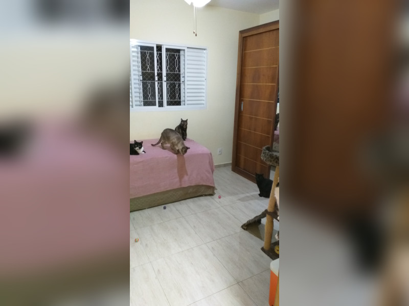 Casa à venda Chácaras Maringá com 175m² e 2 quartos por R$ 350.000 - 20221112-190757.jpg