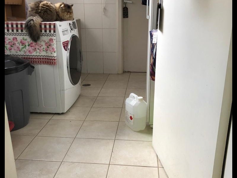 Apartamento à venda Vila Mariana com 85m² e 2 quartos por R$ 890.000 - 1481022778-area-de-servico.jpg