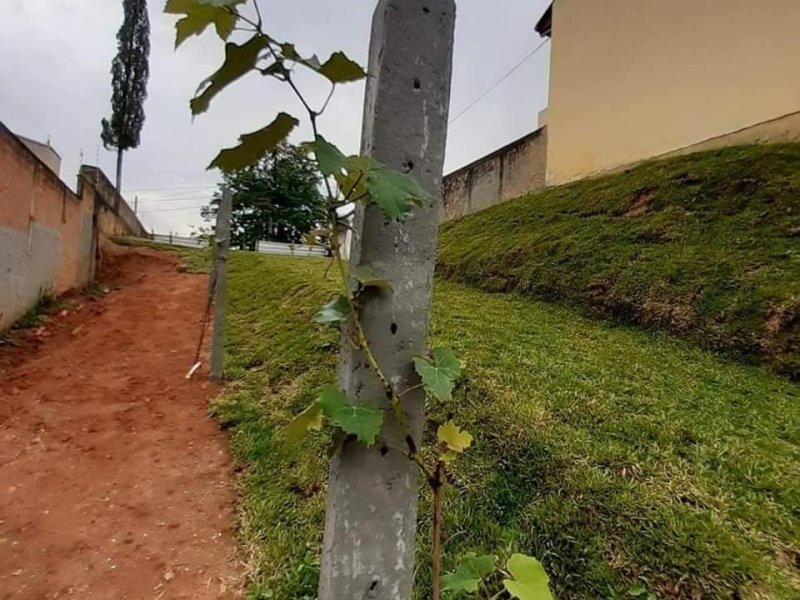 Terreno à venda Abranches com 440m² e  quartos por R$ 480.000 - 746202258-12.jpg