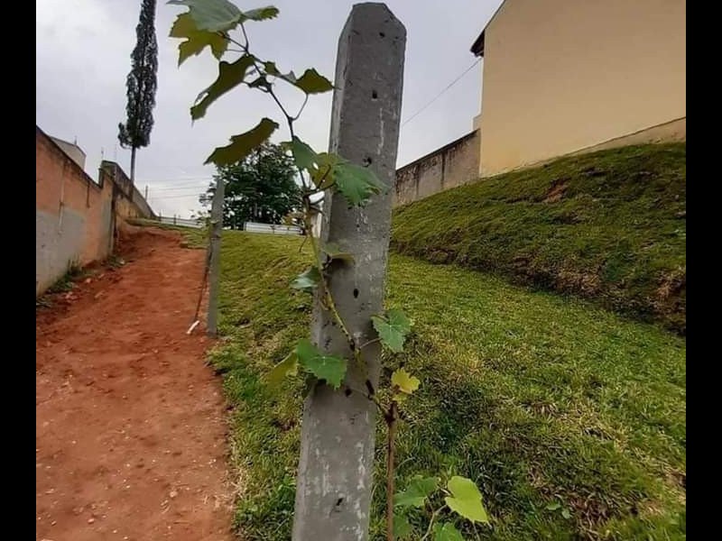 Terreno à venda Abranches com 440m² e  quartos por R$ 480.000 - 1687384291-inbound1745400553393470715.jpg
