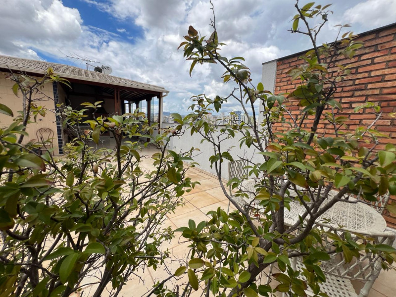 Cobertura à venda Palmares com 292m² e 5 quartos por R$ 980.000 - 555481771-img-20240306-wa0039.jpg