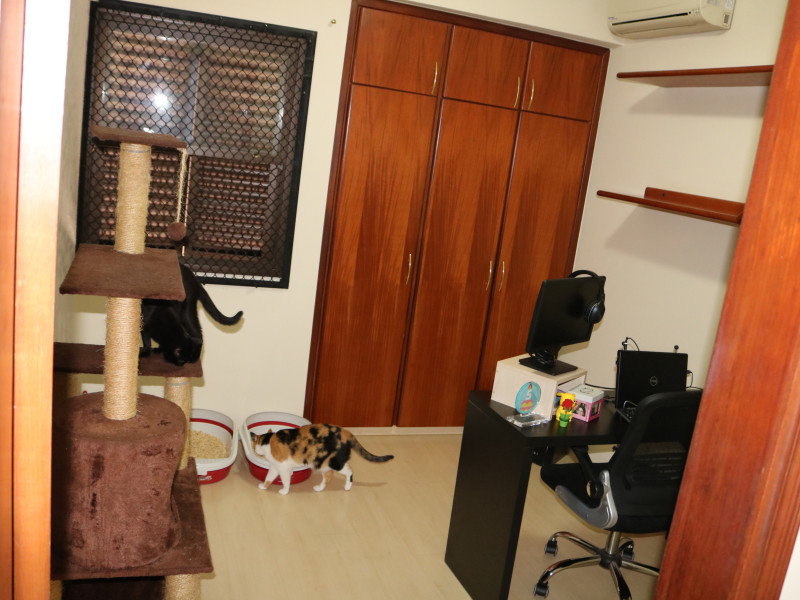 imóvel com 94m² - Taquaral - Campinas