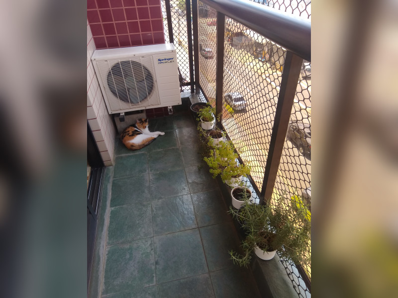 imóvel com 94m² - Taquaral - Campinas